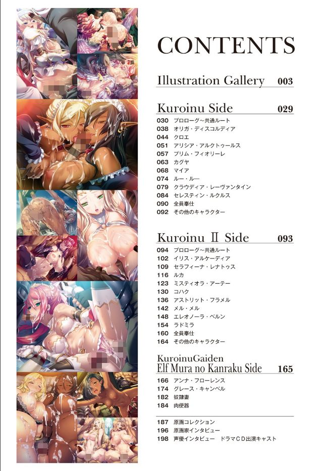 黒獣シリーズアートワークス：ヒロインたちの妖艶な魅力